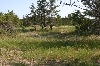 Sand Dunes Habitat