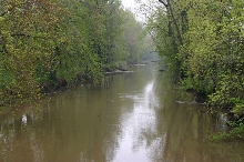 Shiawassee River