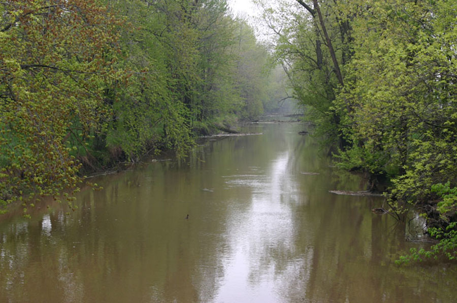 Shiawassee River