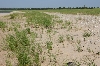 Sleeping Bear Dunes