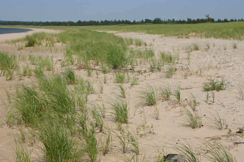Sleeping Bear Dunes