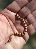 Variable Sand Snake