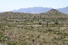 Phoenix, AZ