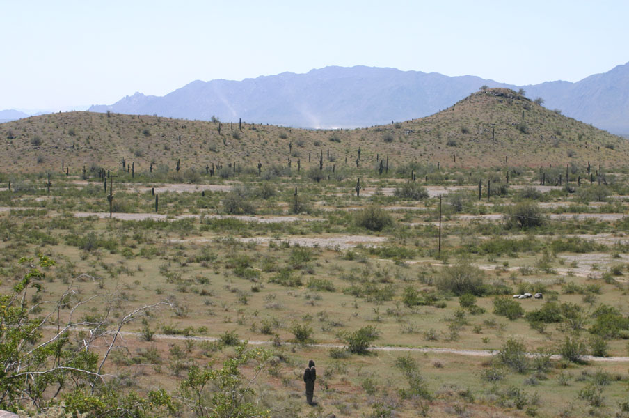 Phoenix, AZ