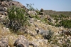 Phoenix, AZ