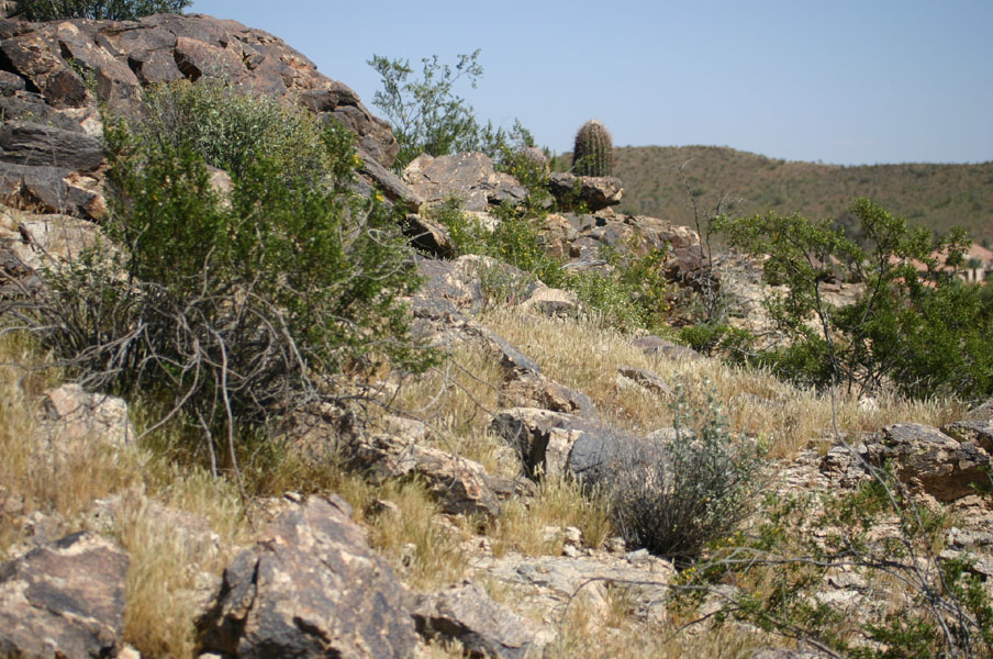 Phoenix, AZ