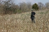 Grassland Habitat, se. Michigan