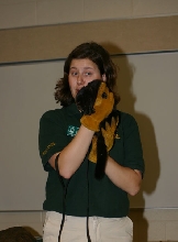 Mink