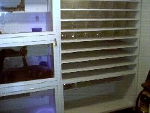 right side of cage wall