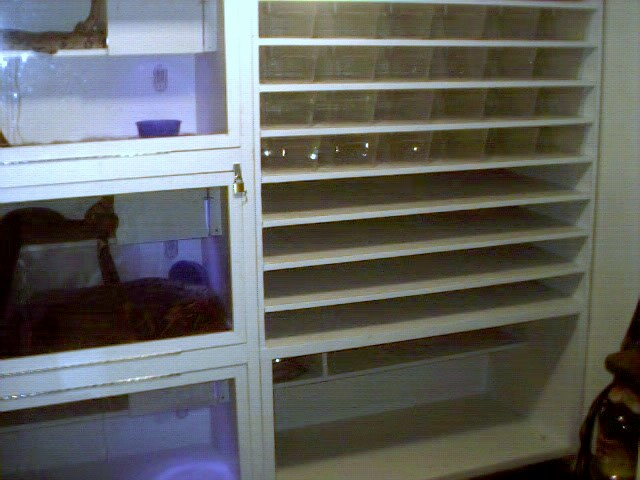 right side of cage wall