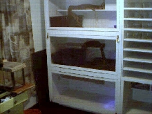 left side of cage wall