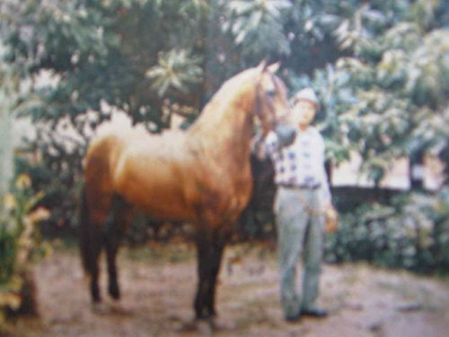 Canario II