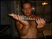 American Alligator 3