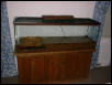 American Alligator Tank 1