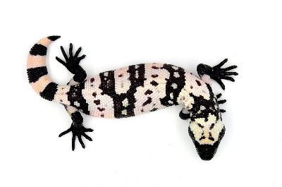 Baby pink Y-band Gila monster