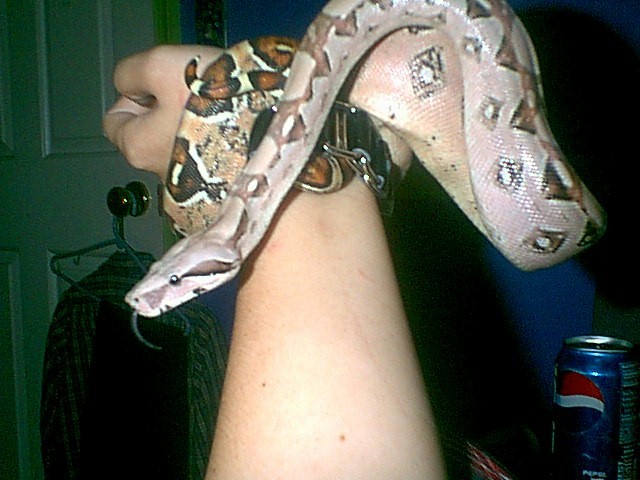 Big Girl