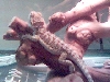 MY DRAGON (8 INCHES MALE)