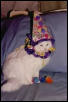 Grizzy the clown