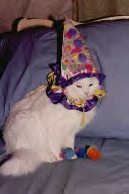 Grizzy the clown