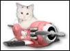 Lilly in her pink plane