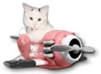 Lilly in her pink plane