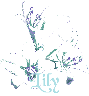 Lillys name