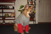 Jazz and my tee shirt