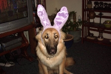 Halloween 05