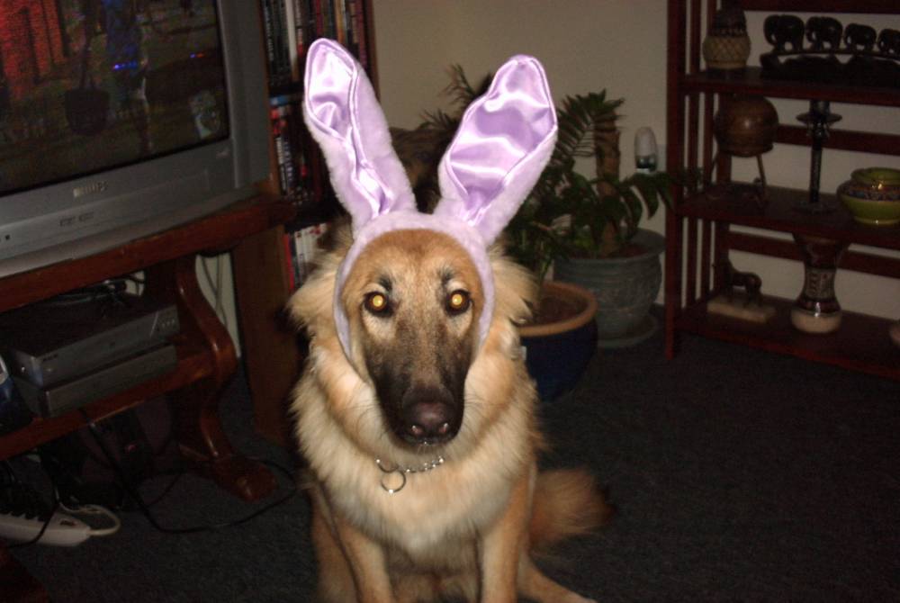 Halloween 05