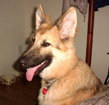 Jazz wondering what to do next