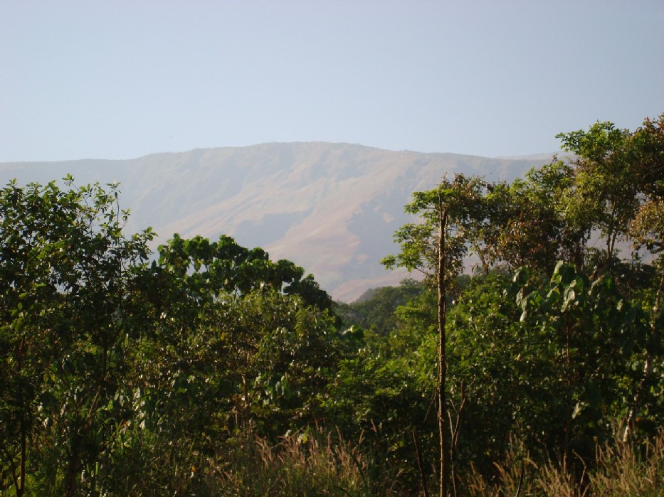 Mount Cameroon