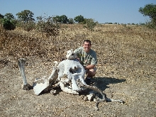 Elephant graveyard
