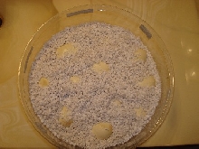 YT Cribo eggs (group)