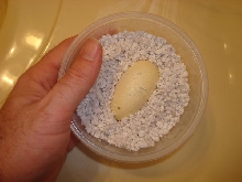 Yellow Tail Cribo eggs.