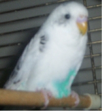 My female I need to rename