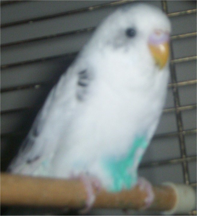 My female I need to rename