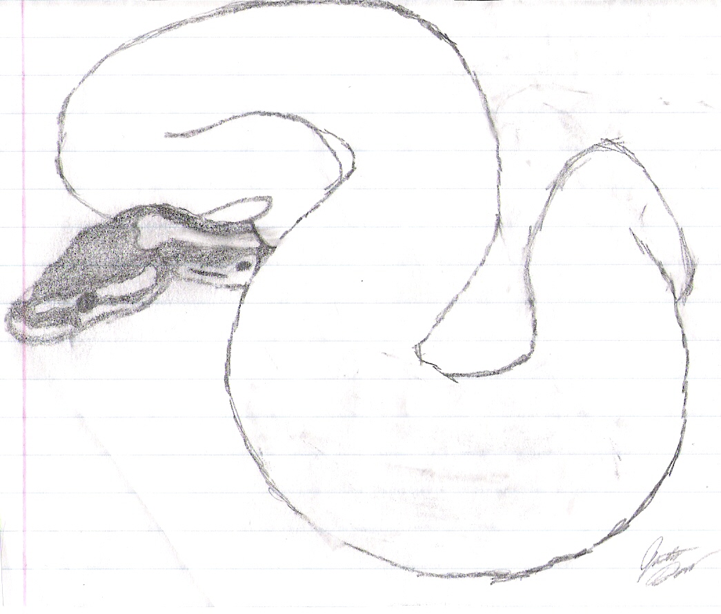 Untitled