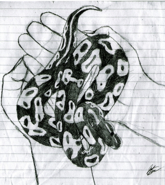 Untitled