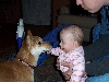 Copper and Gracie