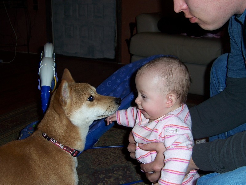 Copper and Gracie