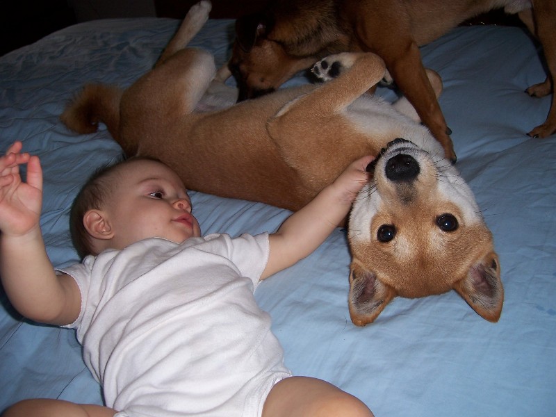 Lazy Sunday Afternoon
