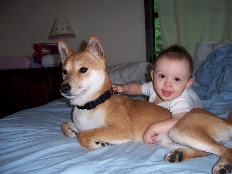 Copper and Gracie