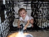 Gracie in crate2