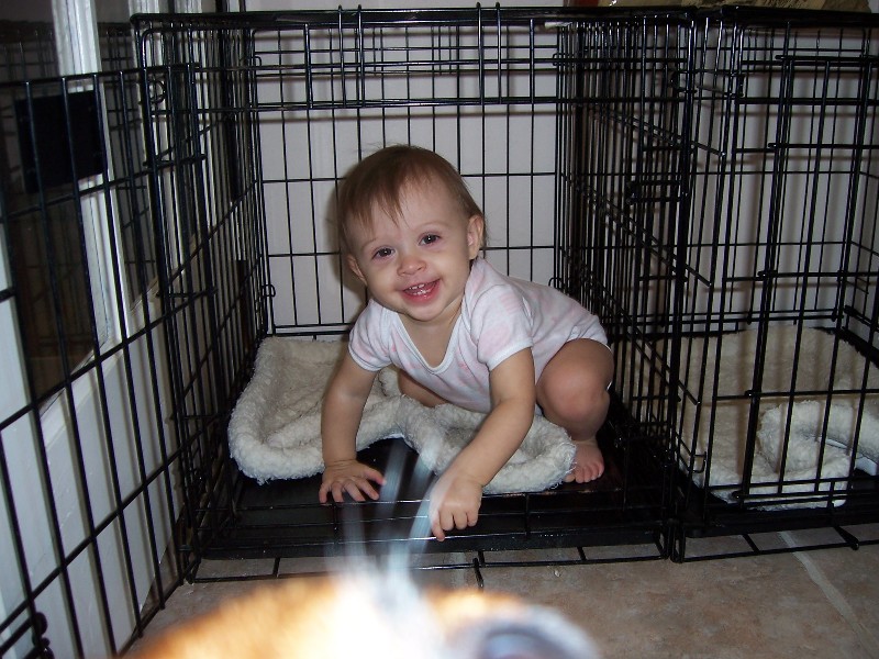 Gracie in crate2