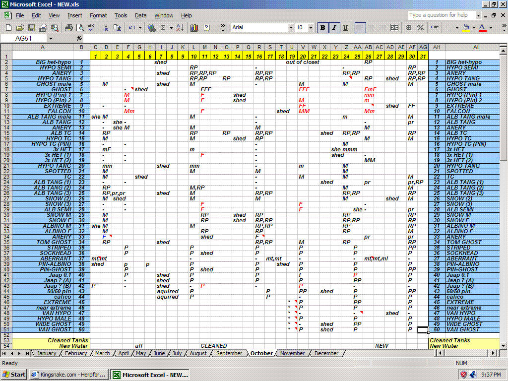 excel