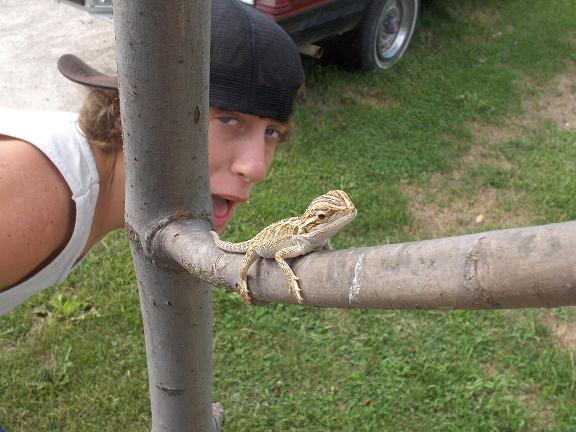 My Beardie And Punkherper