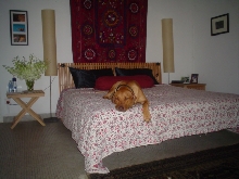 Jara's bed he wishes.