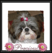 Precious 6 mo.