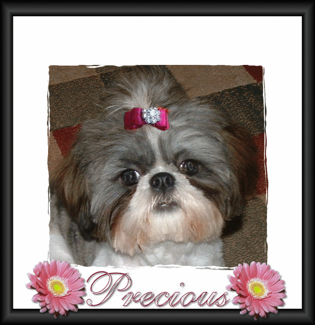 Precious 6 mo.