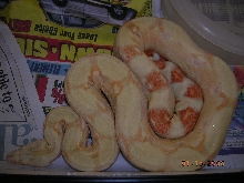 Amaterasu at 18 months